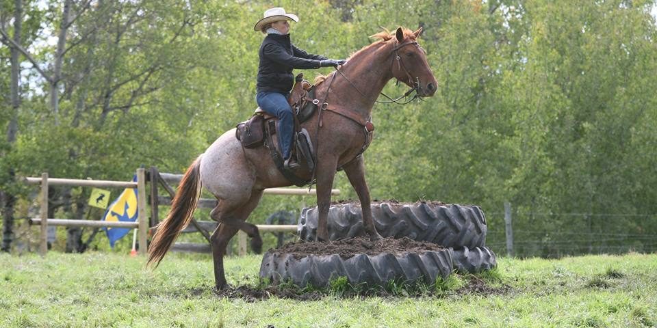 horseback riding tours edmonton