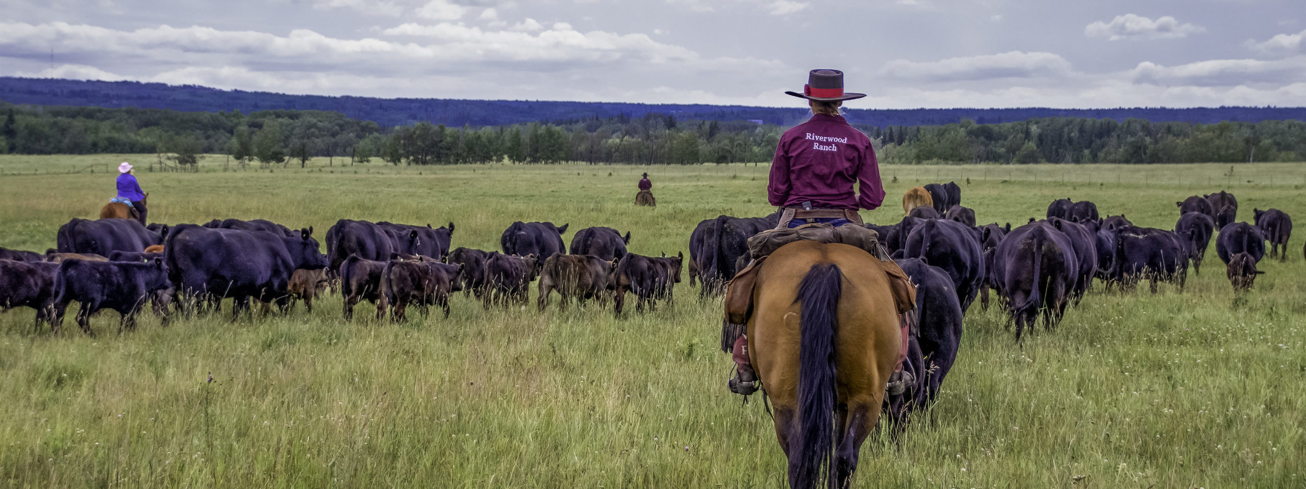 horseback riding tours edmonton