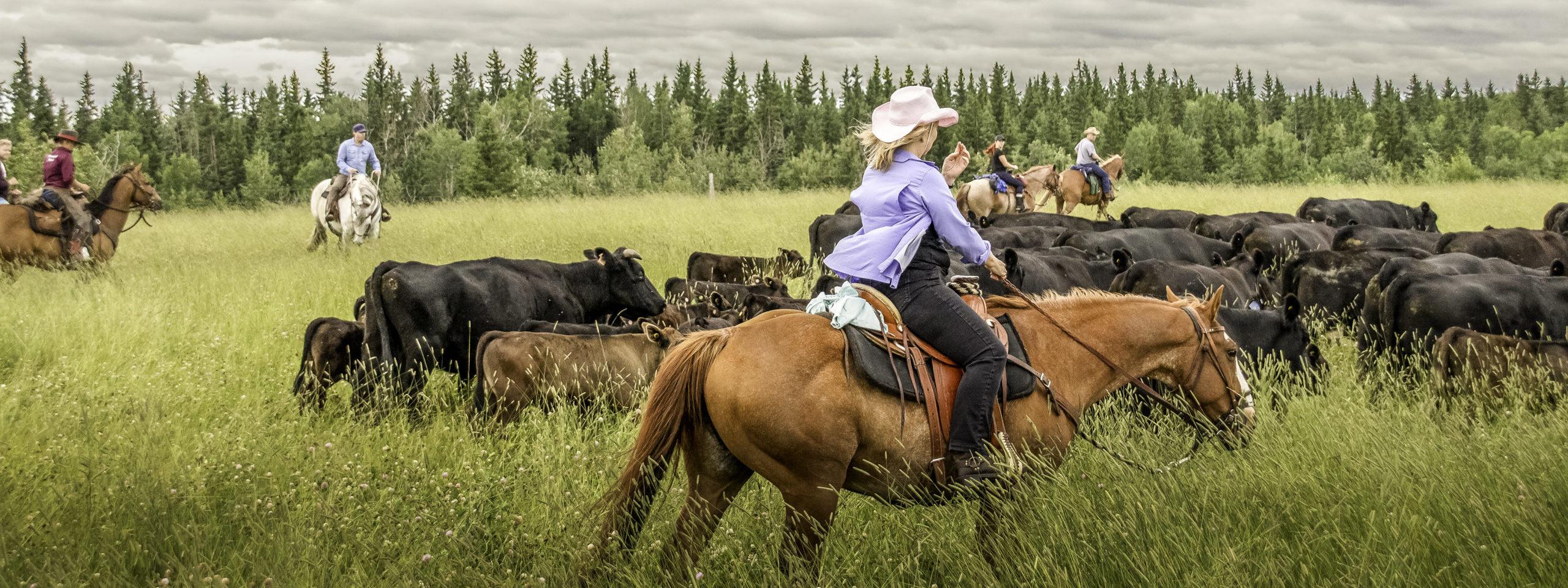 horseback riding tours edmonton